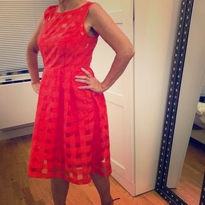 Summer dress 👗